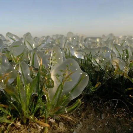 Apartmán Sloneczny Svinoústí