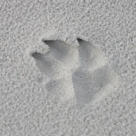 Apartmán Sloneczny *