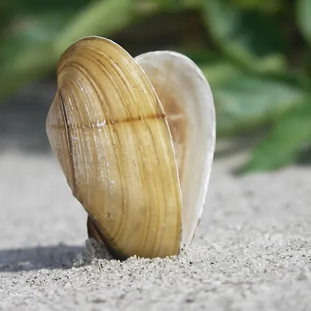 Apartmán Sloneczny Svinoústí