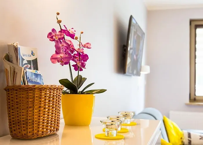 Sloneczny * シフィノウイシチェ